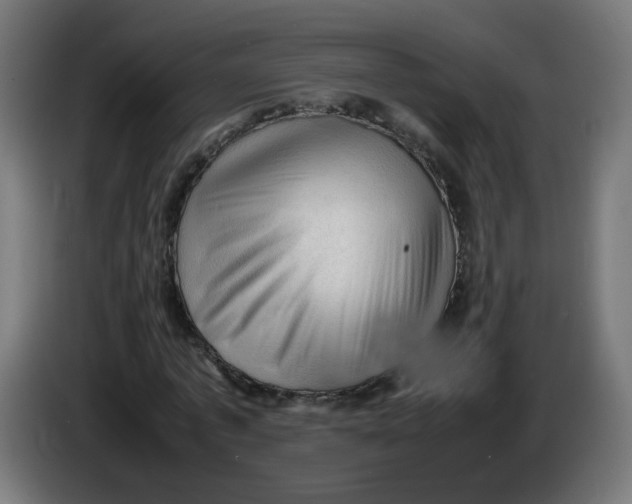 X0000086030773200704131912