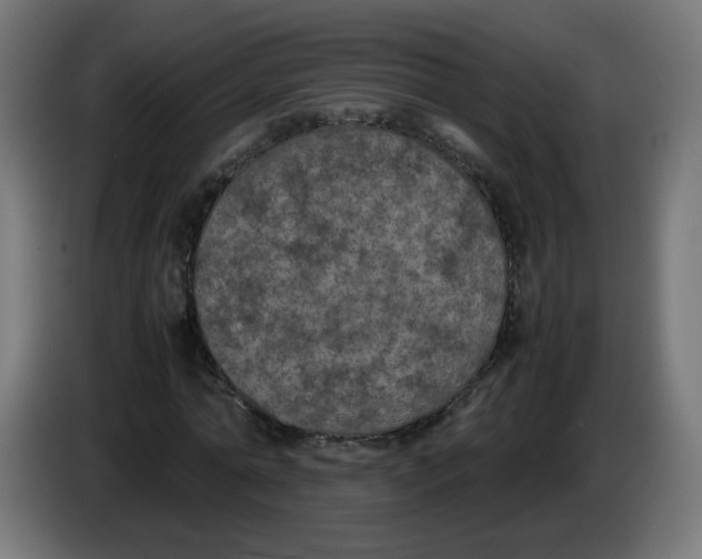 X0000086030774200704131912