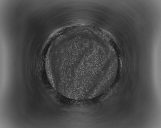 X0000086030776200704131912