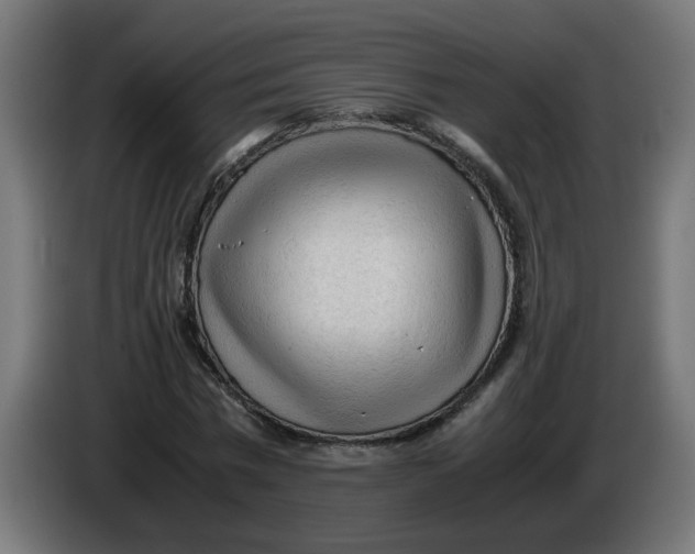 X0000086030777200704131912