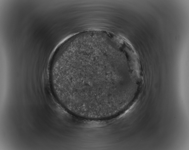 X0000086030779200704131912