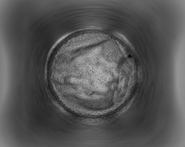 X0000086030780200704131912