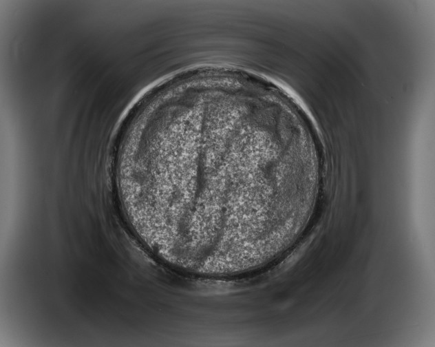 X0000086030783200704131911