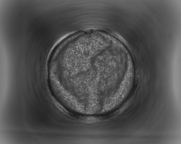 X0000086030787200704131911