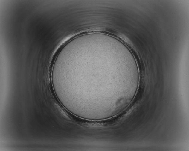 X0000086030789200704131911