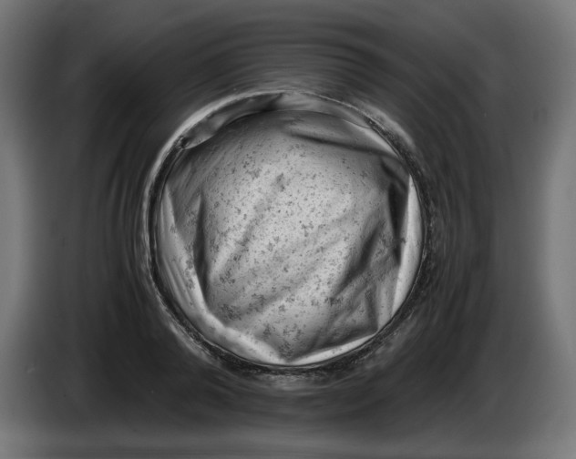 X0000086030792200704131911