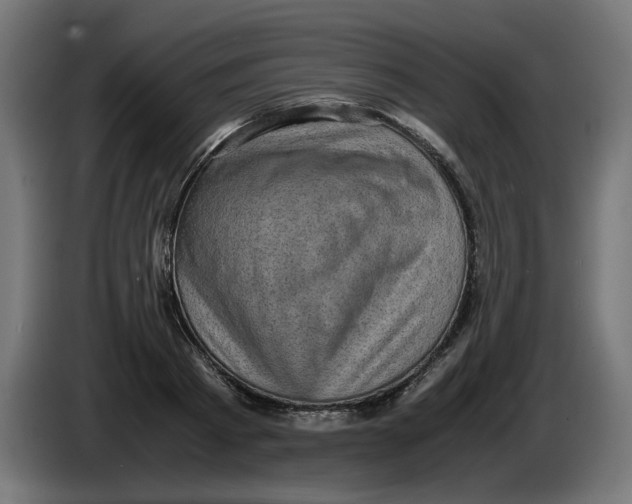 X0000086030793200704131911