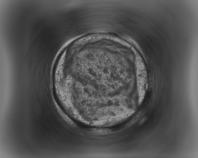 X0000086030795200704131911