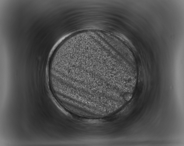 X0000086030796200704131911