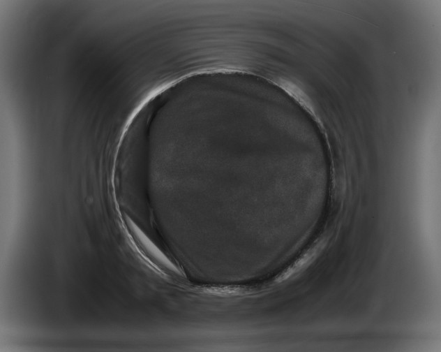 X0000086030797200704131911