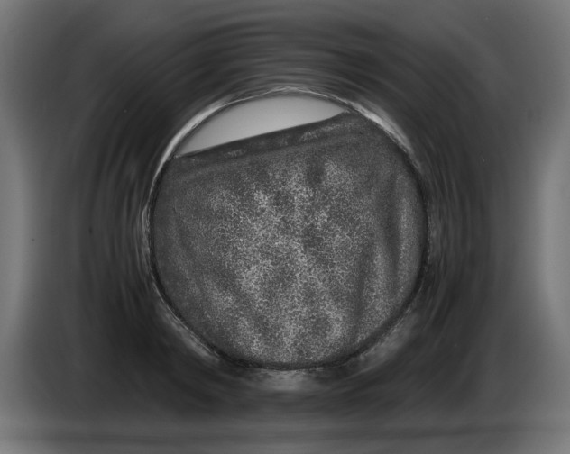 X0000086030798200704131911