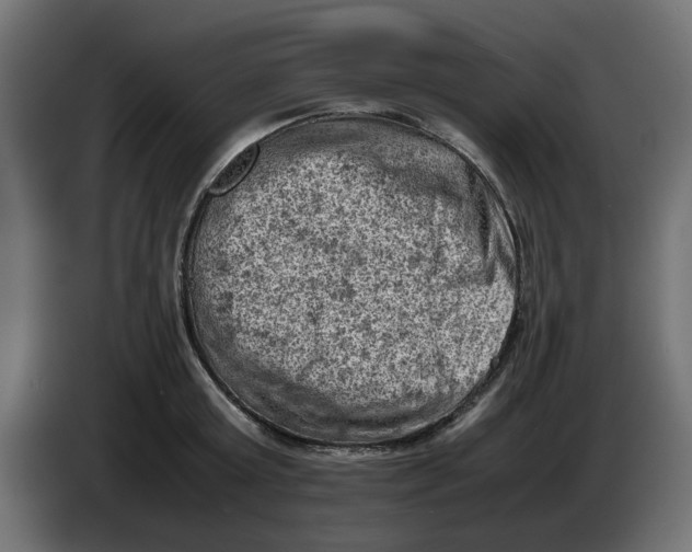 X0000086030803200704131911