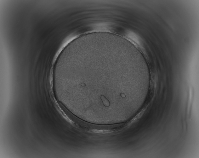 X0000086030804200704131911