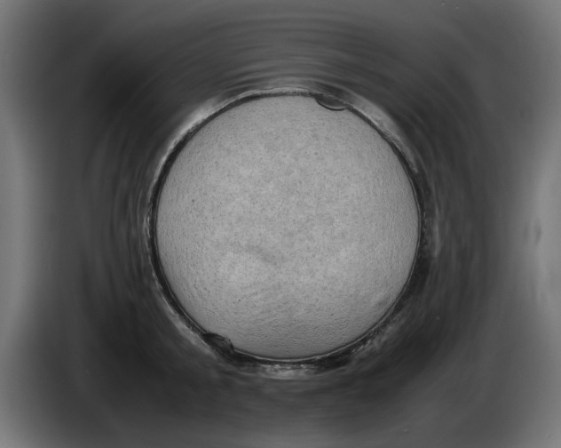 X0000086030805200704131911