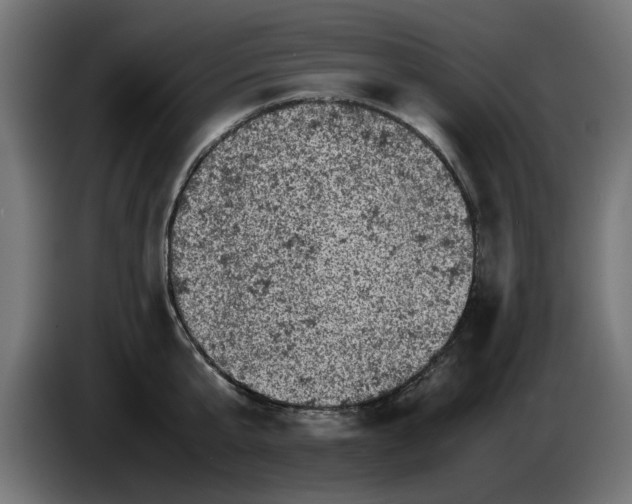 X0000086030807200704131911