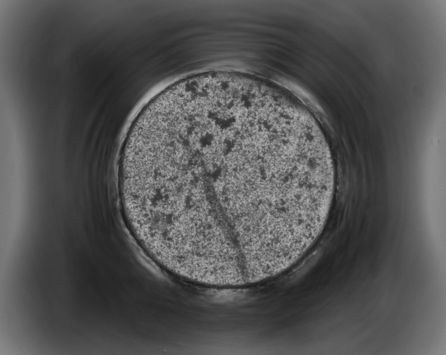 X0000086030808200704131911