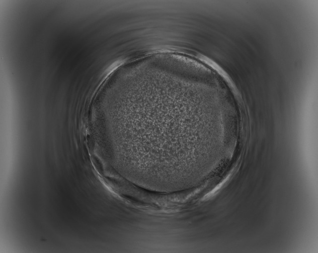 X0000086030809200704131911