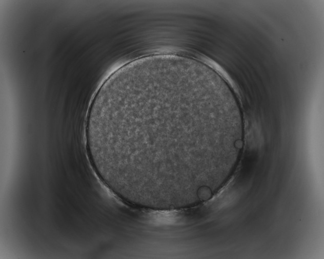 X0000086030810200704131911