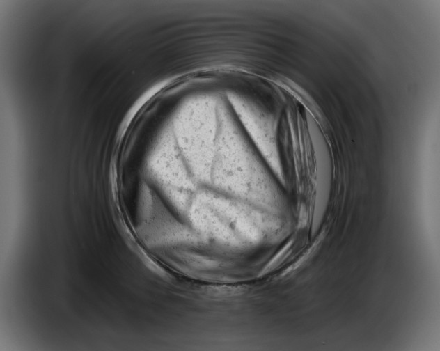 X0000086030812200704131911