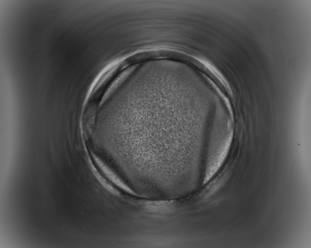 X0000086030813200704131911