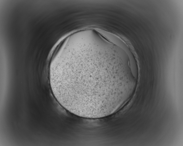 X0000086030816200704131911