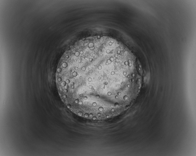 X0000086030819200704131910