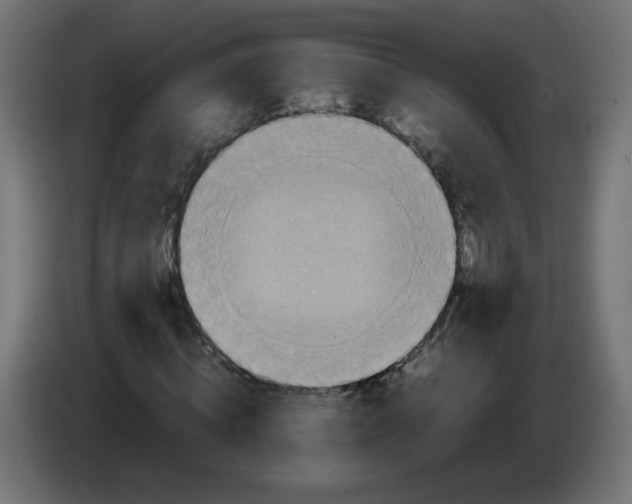 X0000086030820200704131910