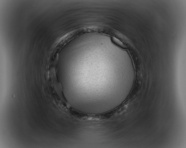 X0000086030822200704131910