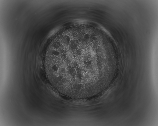 X0000086030823200704131910