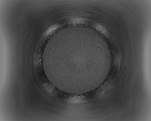 X0000086030824200704131910