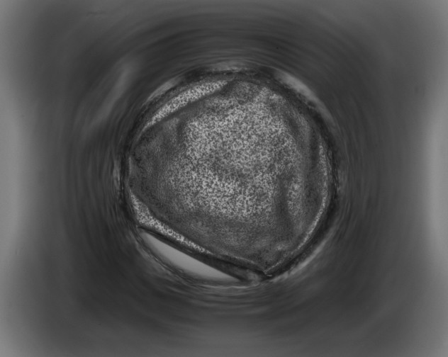 X0000086030825200704131910