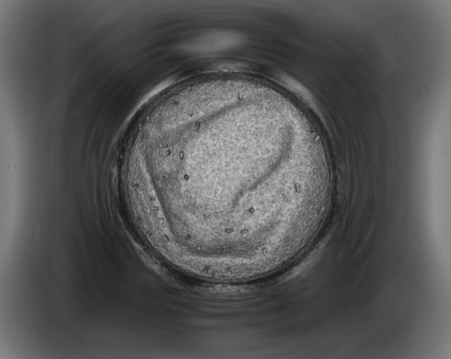 X0000086030827200704131910