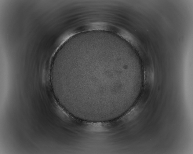 X0000086030828200704131910