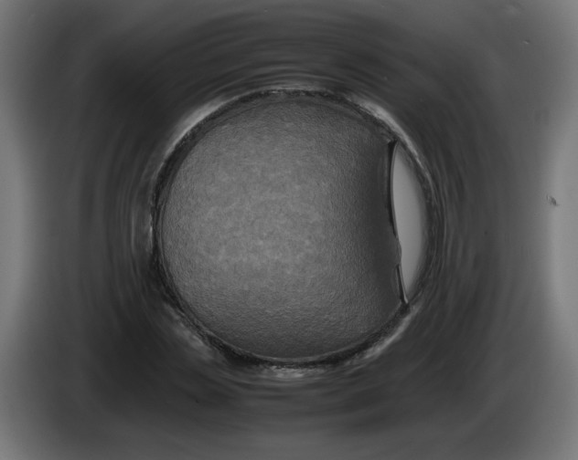 X0000086030829200704131910