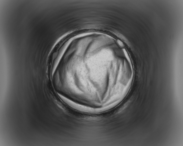 X0000086030830200704131911