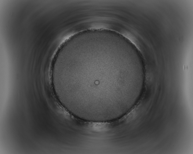 X0000086030832200704131911