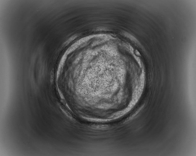 X0000086030833200704131911