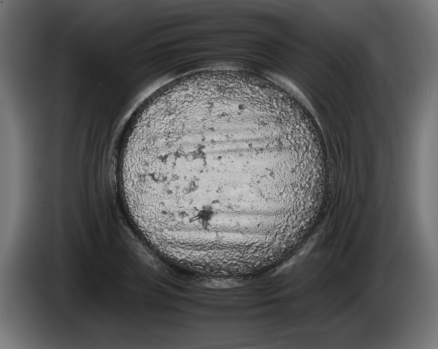 X0000086030835200704131911