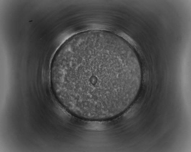 X0000086030836200704131911