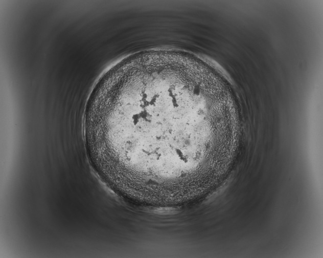 X0000086030839200704131911