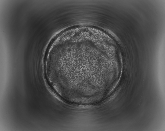 X0000086030840200704131911