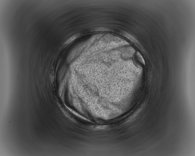 X0000086030841200704131911