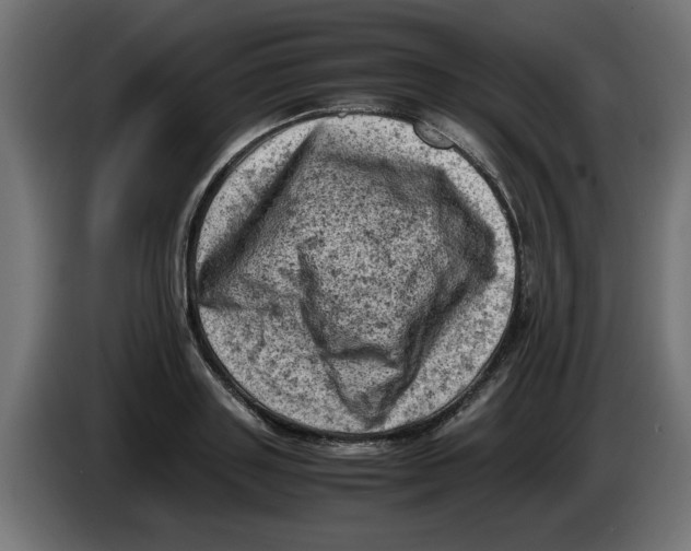 X0000086030843200704131911