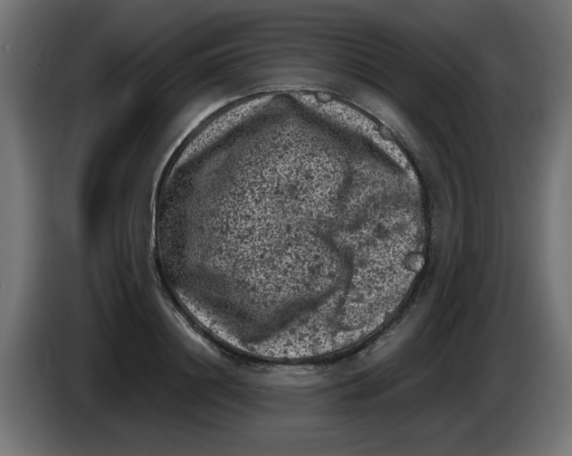 X0000086030844200704131911