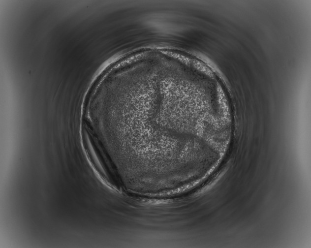 X0000086030845200704131911