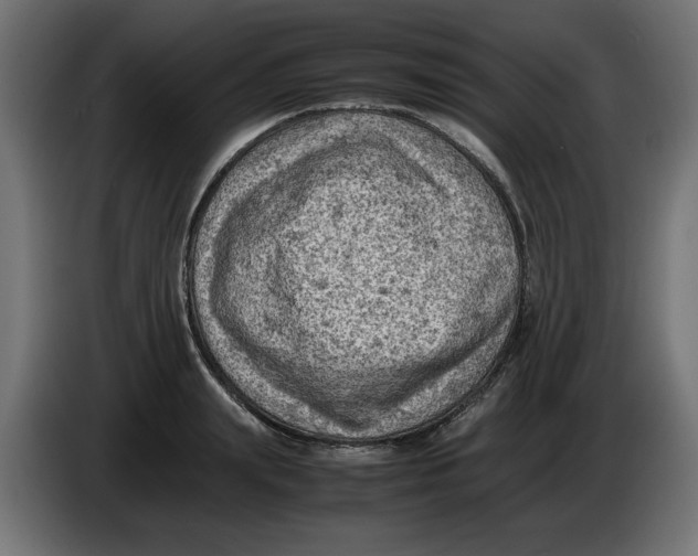 X0000086030847200704131911