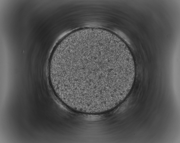 X0000086030848200704131911