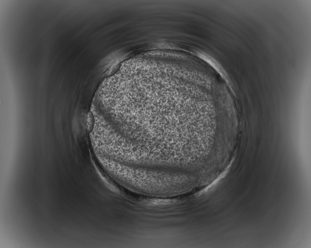 X0000086030849200704131911