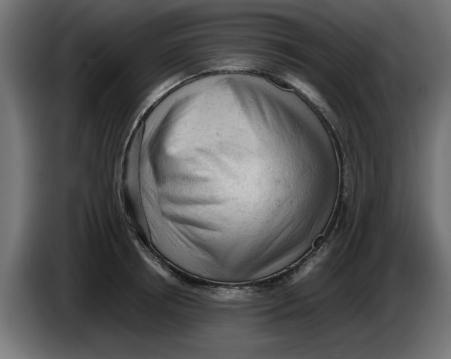 X0000086030850200704131911