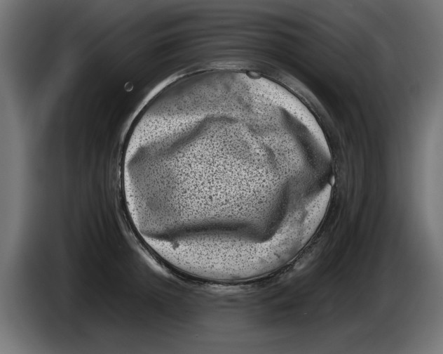 X0000086030852200704131911